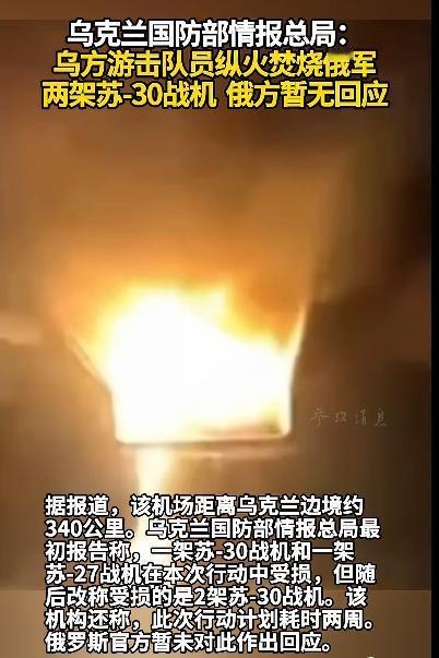 俄战机在烈火中燃烧，乌军游击队深入俄本土偷袭机场，泽连斯基换打法！新华社援引