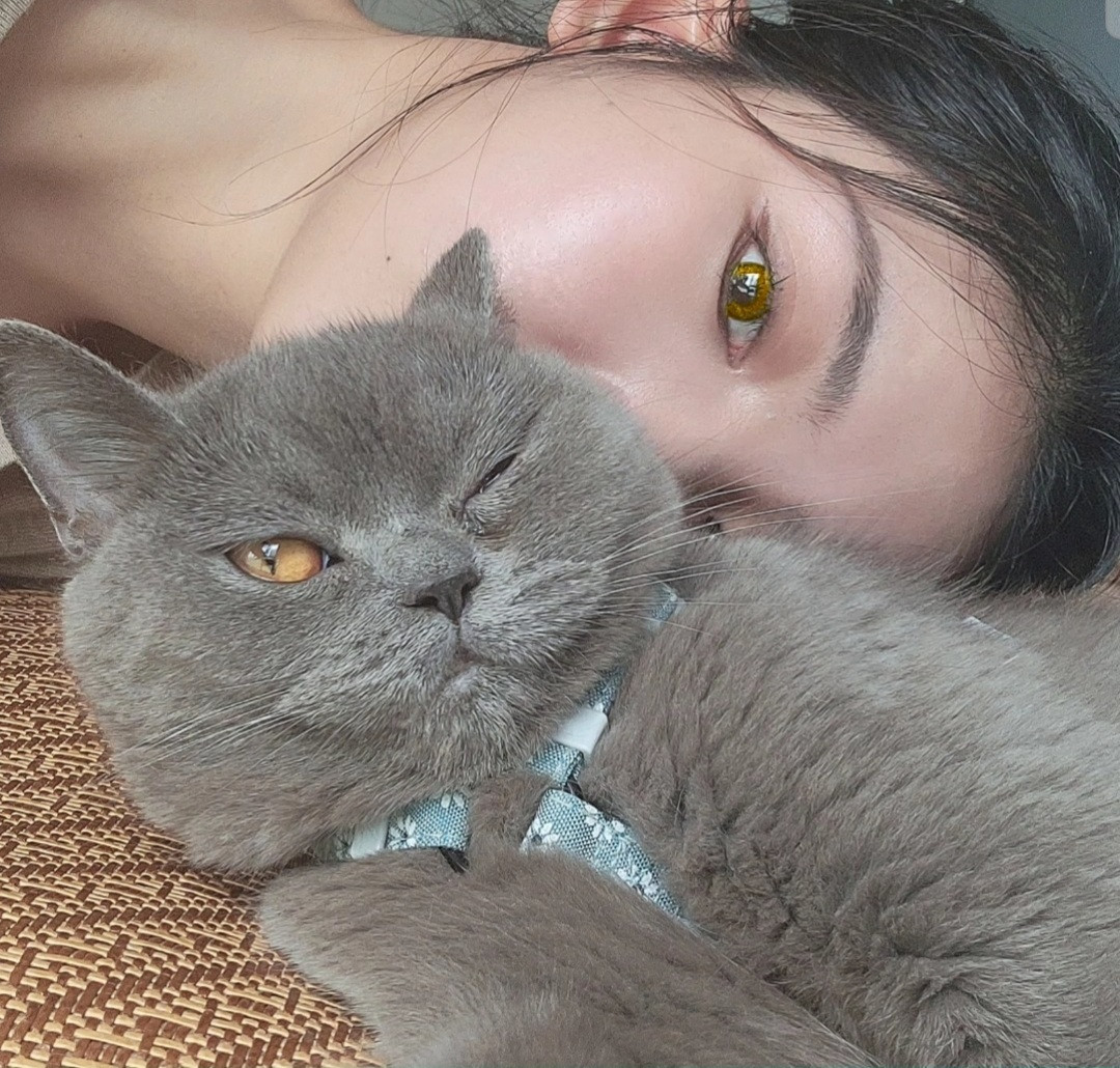 早带着和小猫的wink走天下小猫会精准找到最忙的那个人​​​