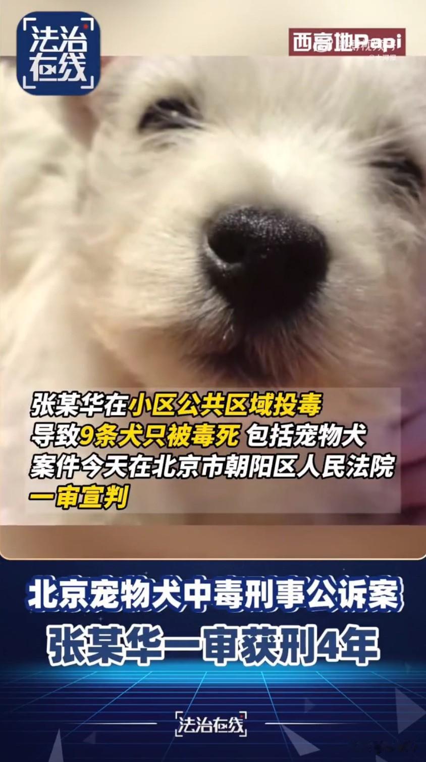 在北京的一个小区里，发生了一件让养宠人格外揪心的事，65岁的居民张某某竟然在小区