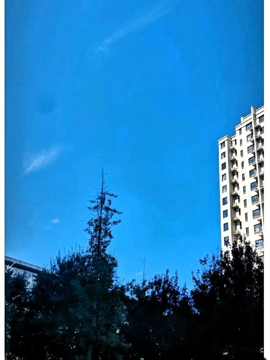 明天就是中秋节了，我们养老院里至今没有一位老人被亲属接回家去过中秋节，太现实了。