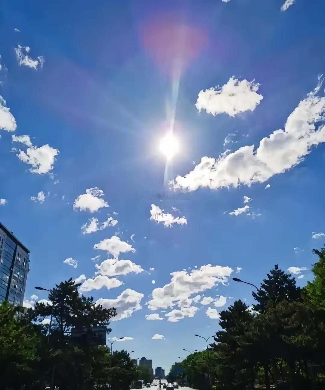 全国最“热”的城市：1.重庆：41.6℃2.乌鲁木齐：40℃+3.石家庄：