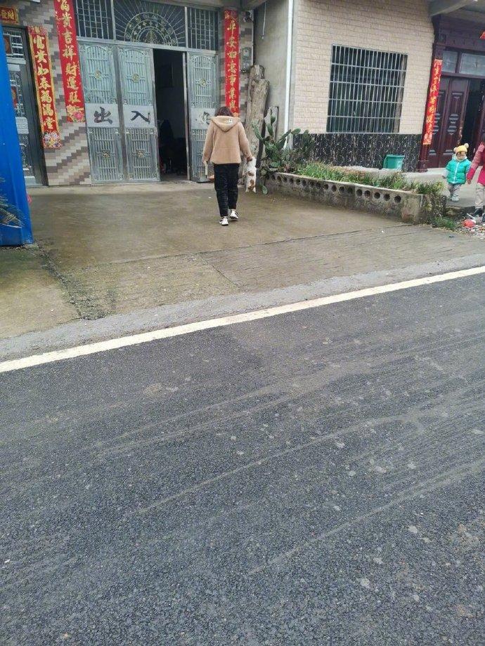 狗子老喜欢跑车子地下