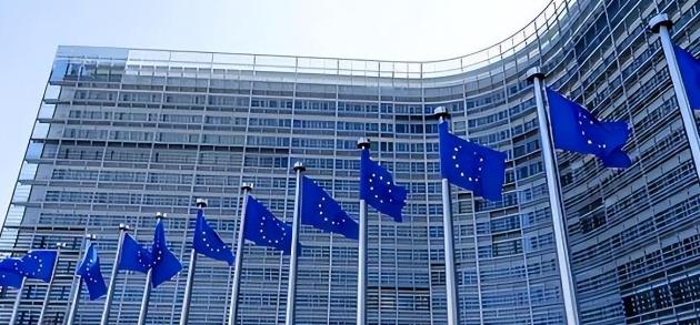 装了整整30年，欧洲政客终于装不下去了！欧盟27国集体翻脸，强行遣返非法移民。这