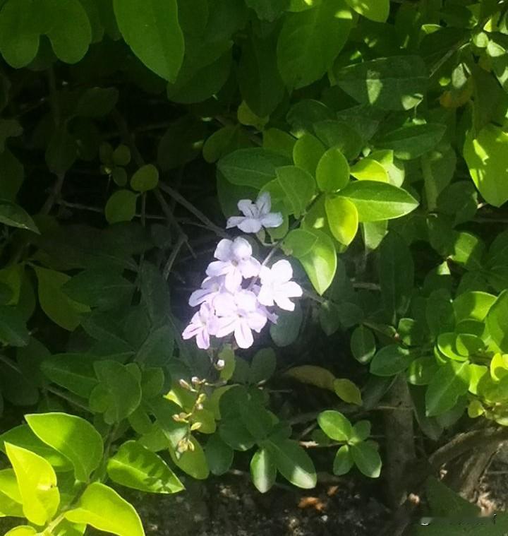 女人千万不要和喝了酒的男人争吵，尤其是平时很怂的醉酒男人。我邻居，昨天晚上，她