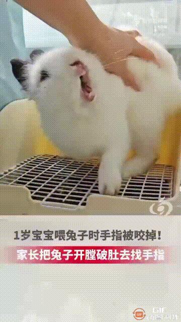 看了这个，你带娃的时候还敢分心吗？河南一个1岁多的宝宝，趁着爷爷奶奶在厨房做饭时