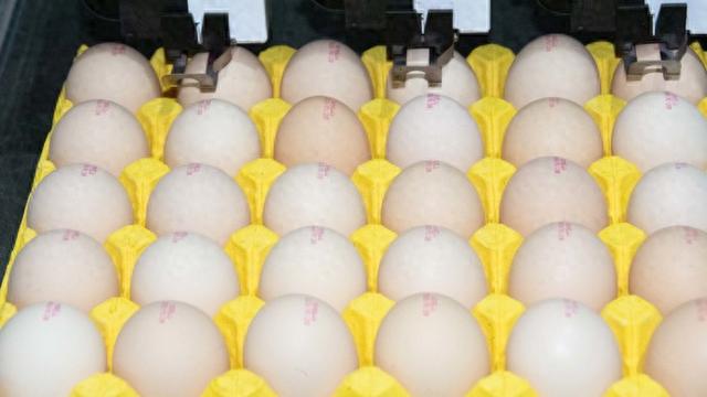 “激素鸡蛋”等食品安全类谣言, 缘何屡禁不止?