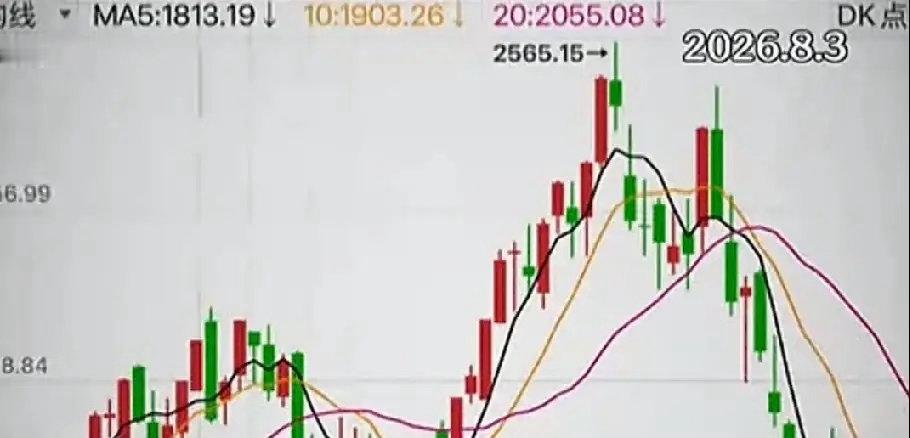 美国AI股神都亏的底裤不在，更何况那些普通的投资者了，想赚钱哪有那么容易。从一开