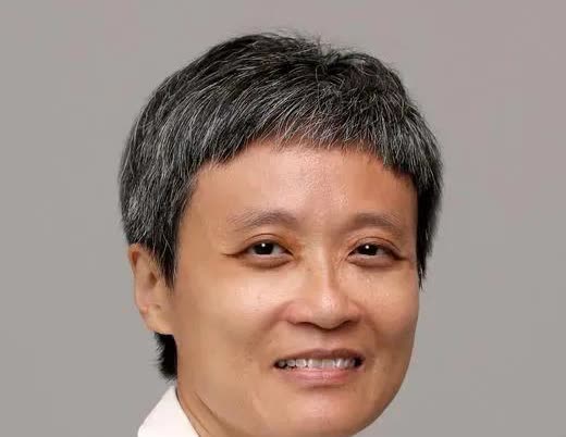 新加坡官媒记者沈泽玮发文：“汉奸”石平与涉“祖国”言论。该文故意颠倒黑白，搞