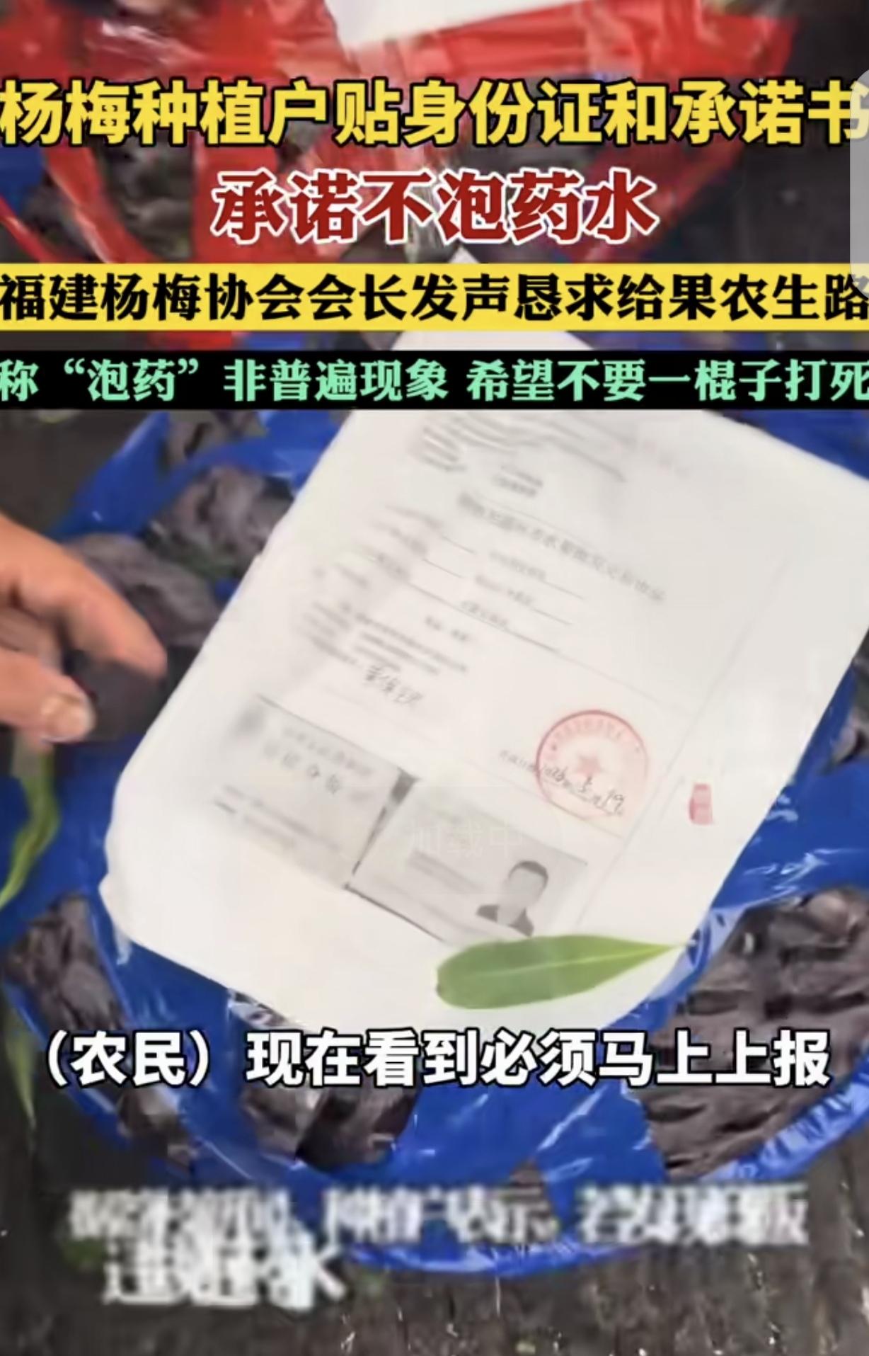 “一颗老鼠屎坏了一锅汤！”福建漳州个别商贩用药造假售卖杨梅，致使当地果品口碑崩塌