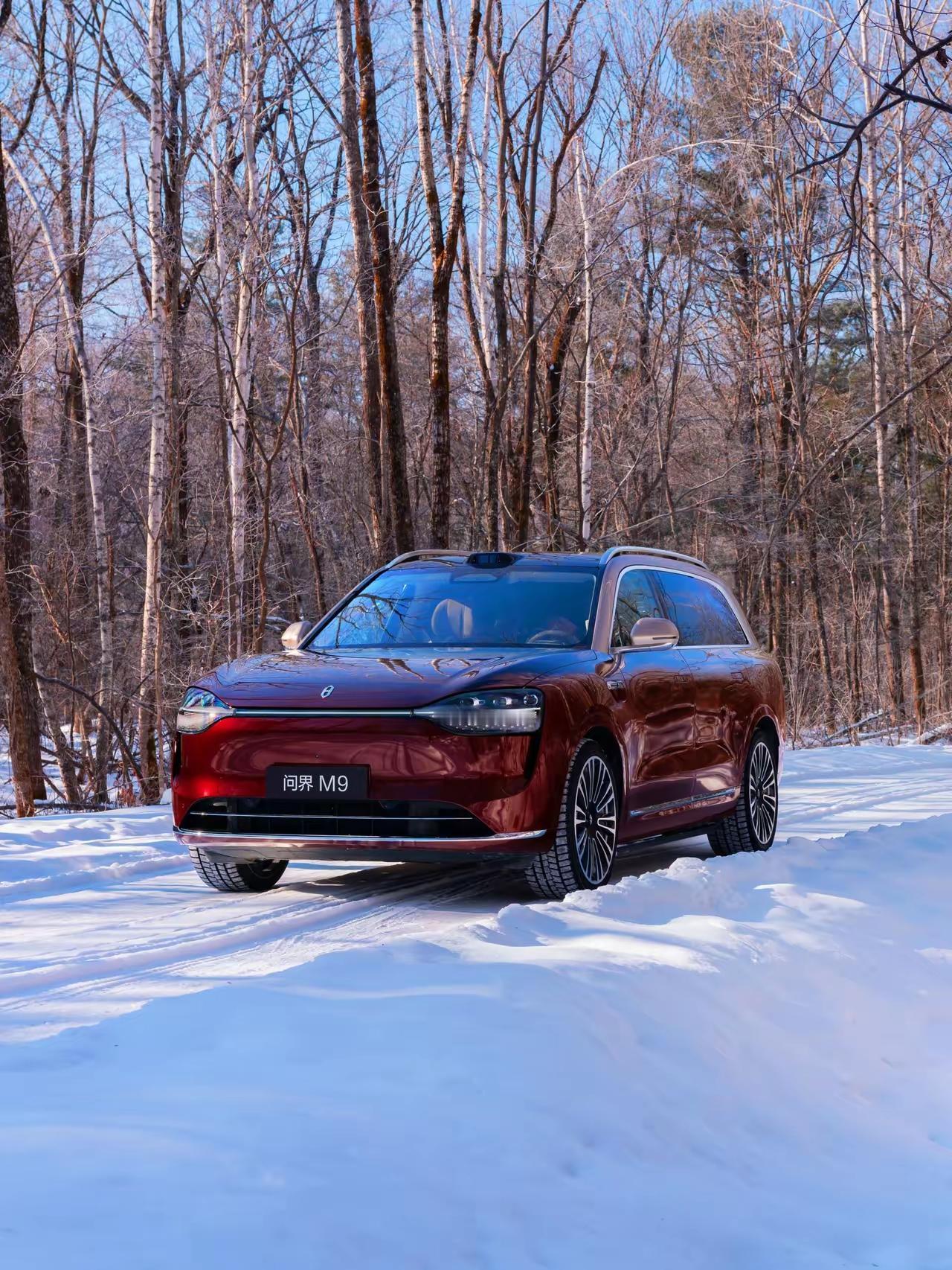 理想L8和L9都是逐渐被边缘化的车型。理想自己在增程式车路线上会推出理想LX，也