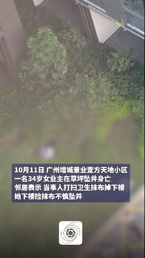 广东广州一小区，34岁2栋女业主在家打扫，抹布不慎掉到楼下草坪，于是下楼去捡，结