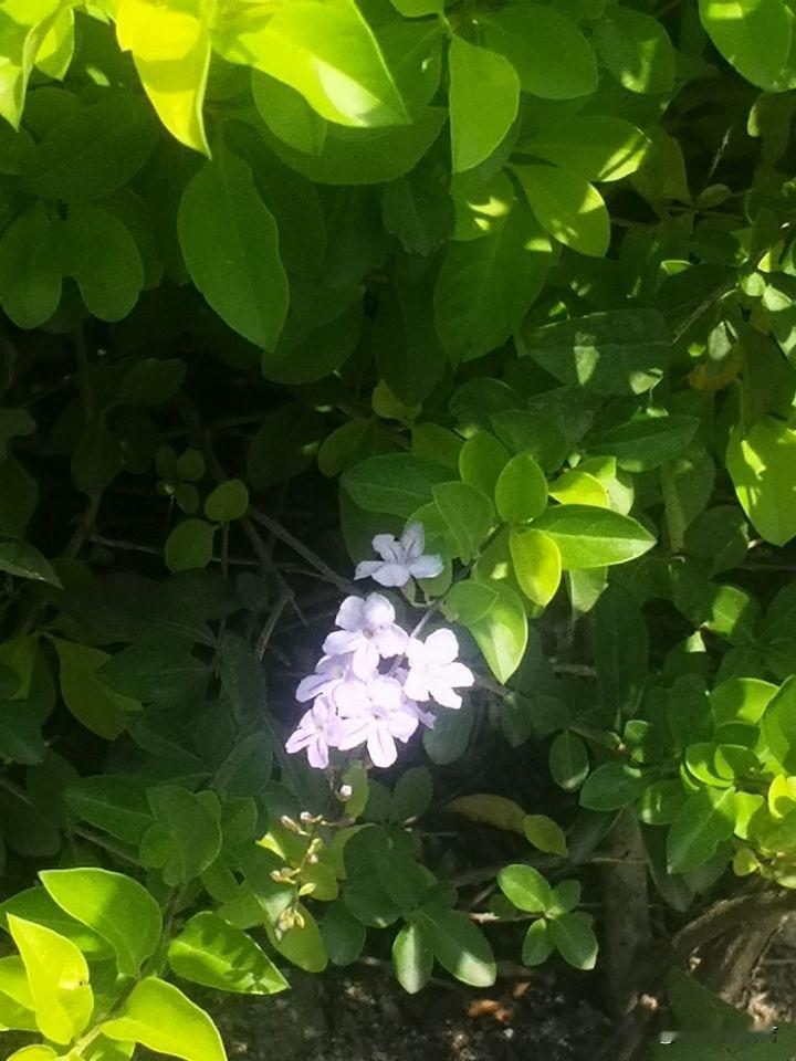建议这女子别结婚了，去找个有钱的，千万别将就。一女子，29岁，和男朋友谈了7-8