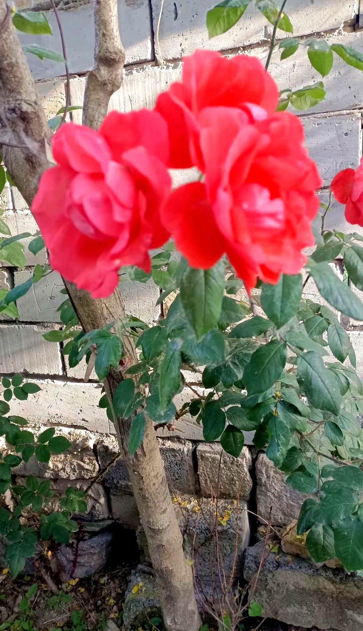 发现没有人小的时候觉得亲戚很亲长大了才明白，联络少了亲情也淡了。到成年觉得