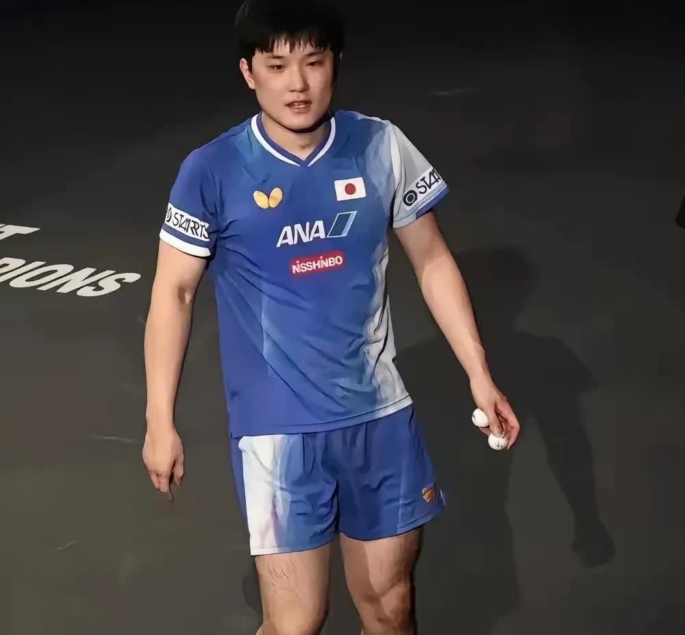 张本智和彻底玩火自焚！日乒启动调查恐遭除名，妹妹张本美和职业生涯被哥哥拖累
