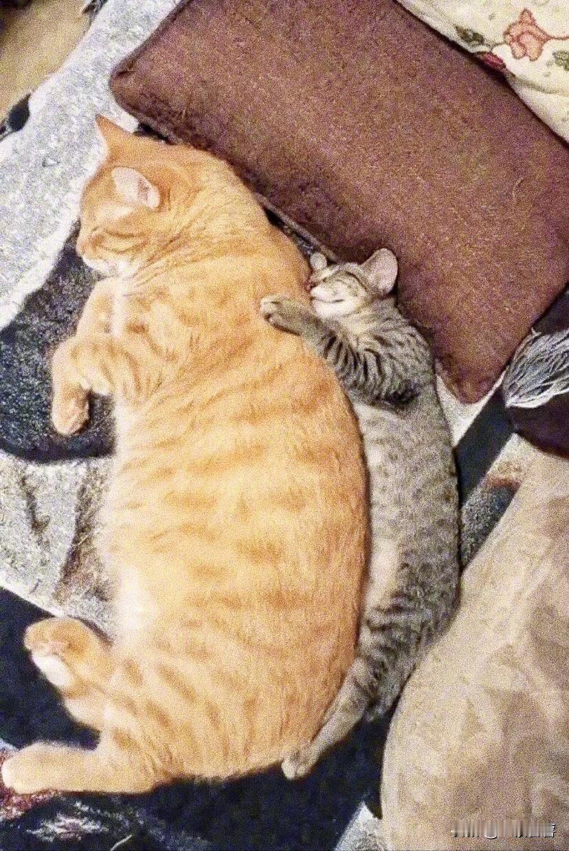 明明是一起长大的，为什么你去了趟奶奶家，就长这么快啊。