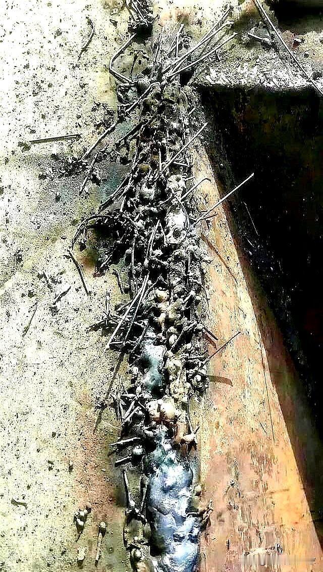 今天在工地上找了个日结350/天的活儿，活儿干完了，等老板过来验收，老板说临时有