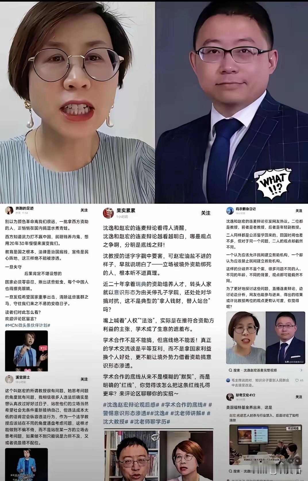 学术自由不是"吃饭砸锅"的遮羞布！沈逸一句话戳穿某些学者的真面目沈逸和赵宏