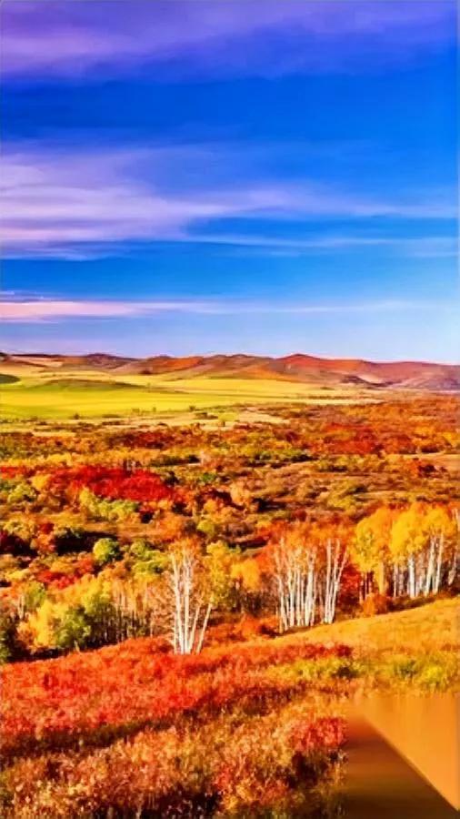 社交真的有用吗？超过5人全是坑为啥总有人热衷攒局？说穿了，不过是把“热闹”当