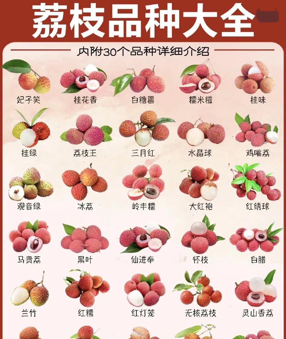 这个品种真是让我大开眼界啊。