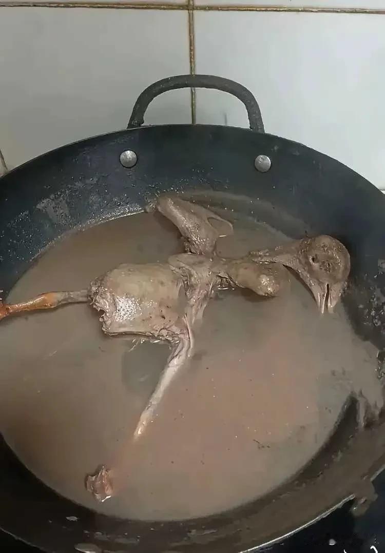 怎么办？这下麻烦大了！又得看儿媳脸色了！给儿媳补身体炖的鸽子汤，炖出