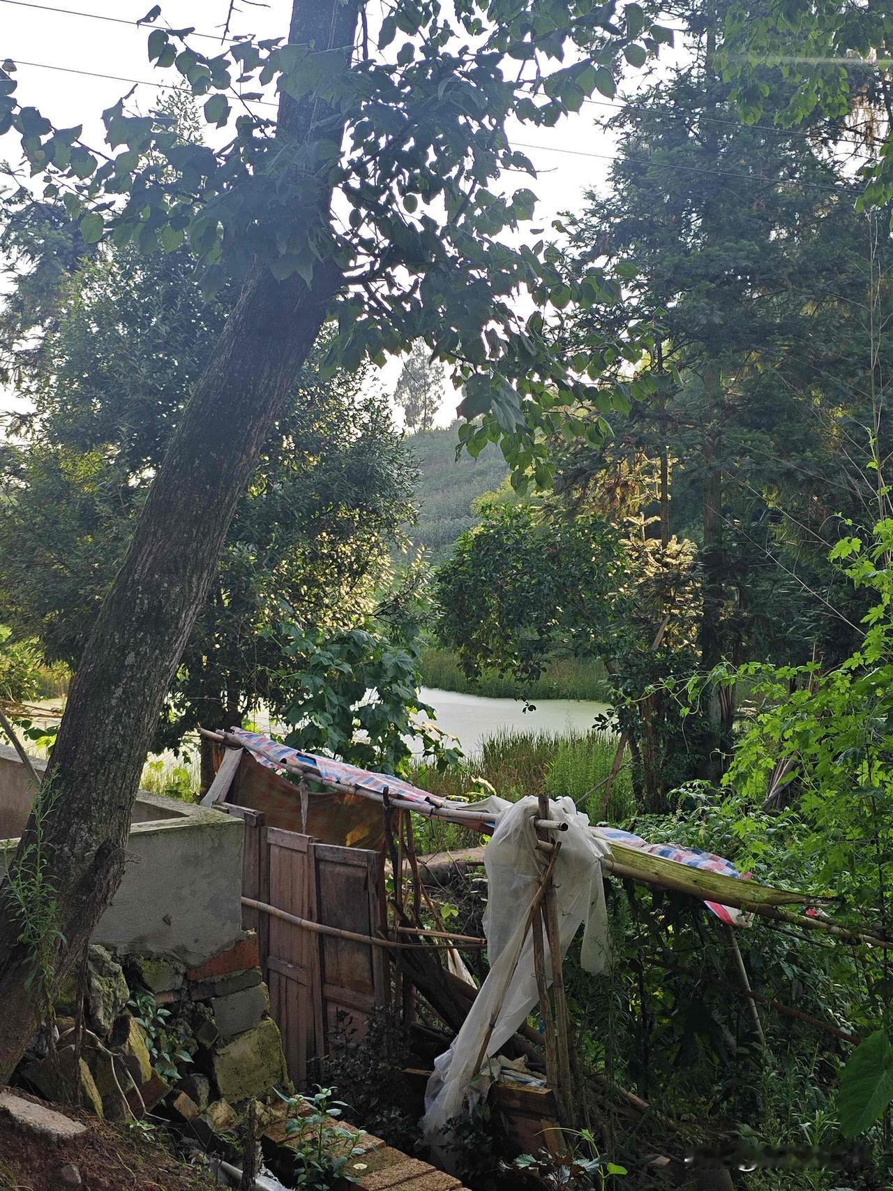 谁懂啊！相亲相错人了饭我还吃了太尴尬了周末我妈说给我介绍了个相亲，啥也没记住