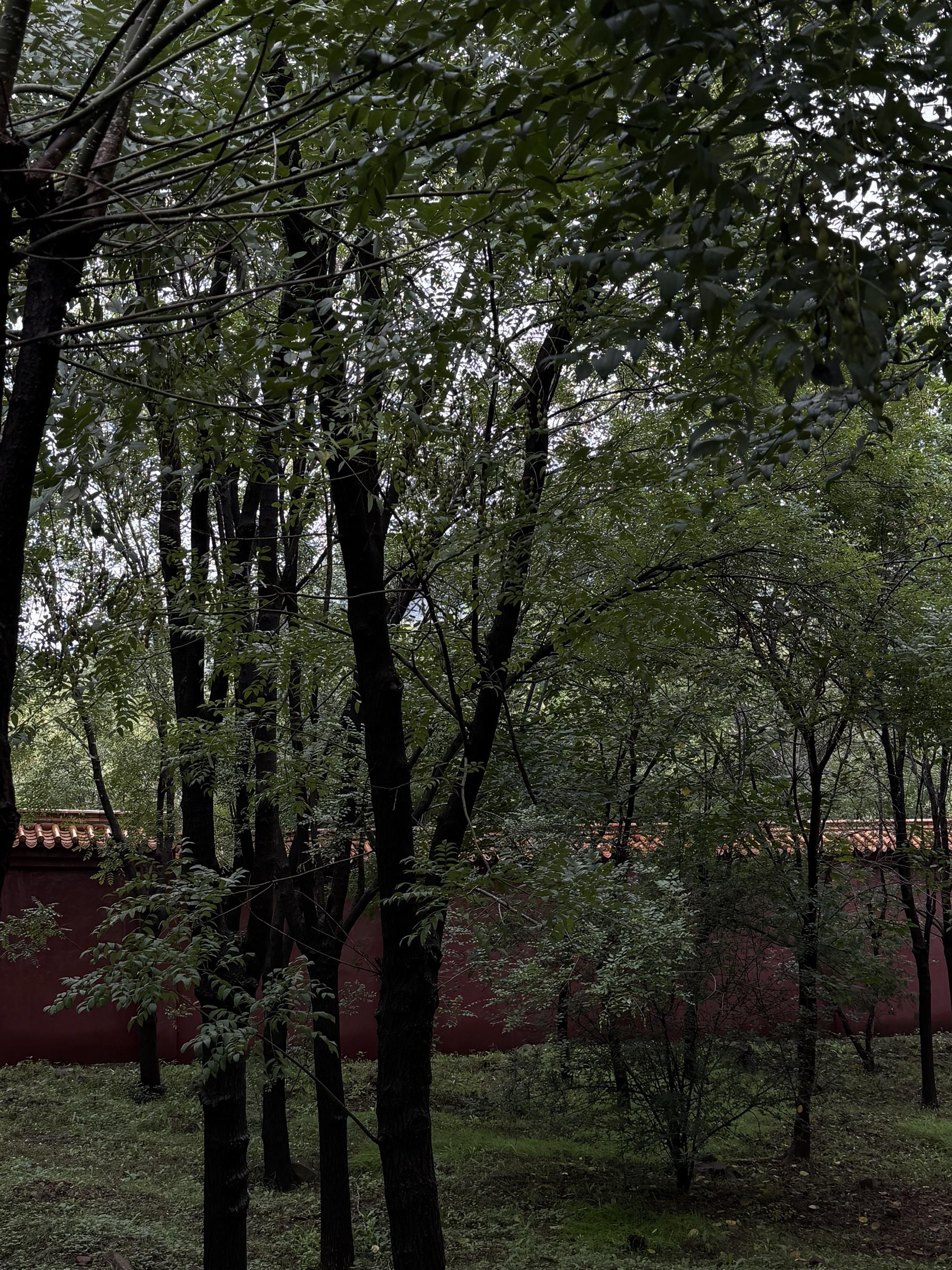 人太多大部分是漫无目的地走