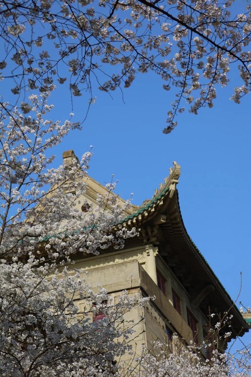 看了武大的通报后，总结：撤销肖同学的处分，杨同学论文问题不大，维持学位，接着问责