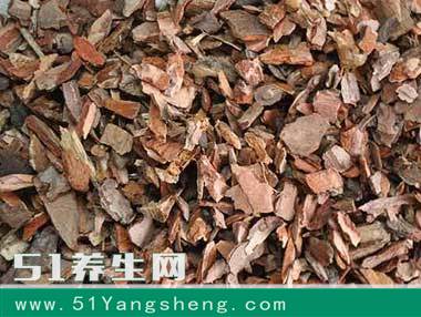 养花杀手到养花高手的晋级, 有这4大秘笈就够了!
