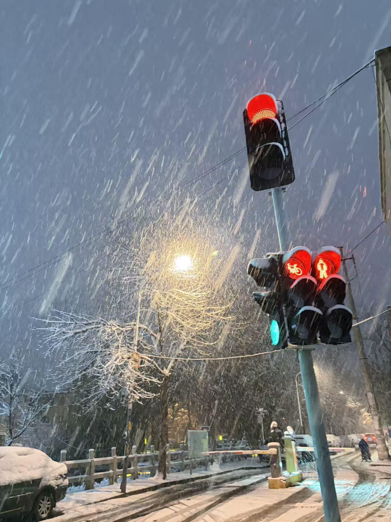 今日运势：乙巳年戊子月丁巳日2025.12.14日鼠：不利人际关系牛：