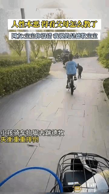 真的大开眼界，自作聪明去招惹狗狗，最后反倒坑了自己。小男孩骑车路