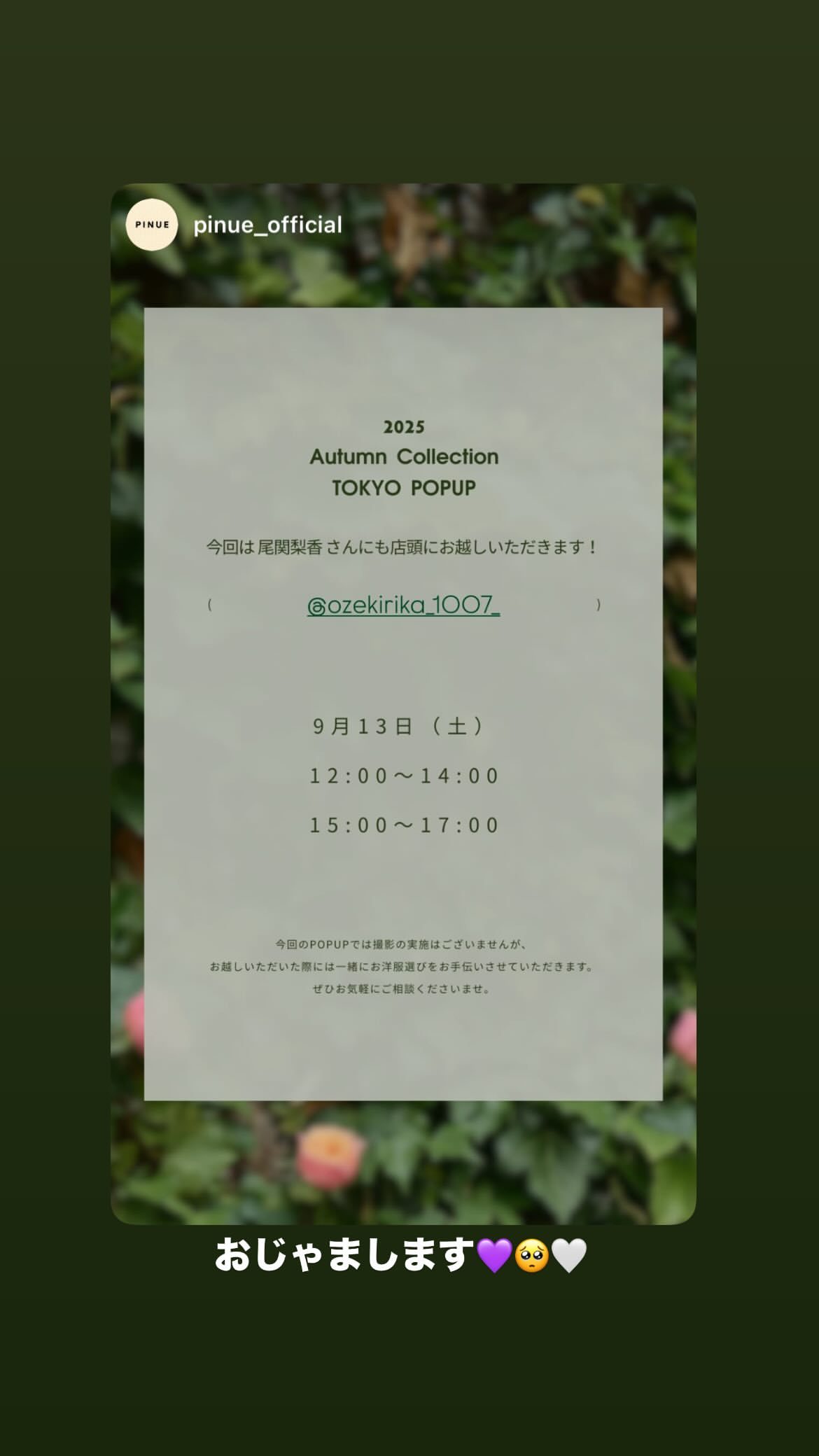 尾関梨香​​​