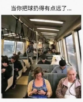 所有人都在望着你