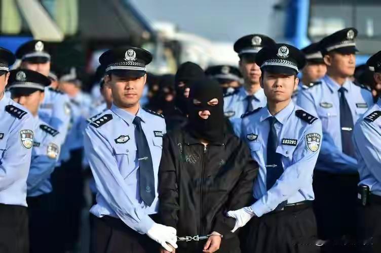 一次性端掉31个涉黑涉恶团伙，抓获220人，破获案件143起，重庆这波扫黑除恶集