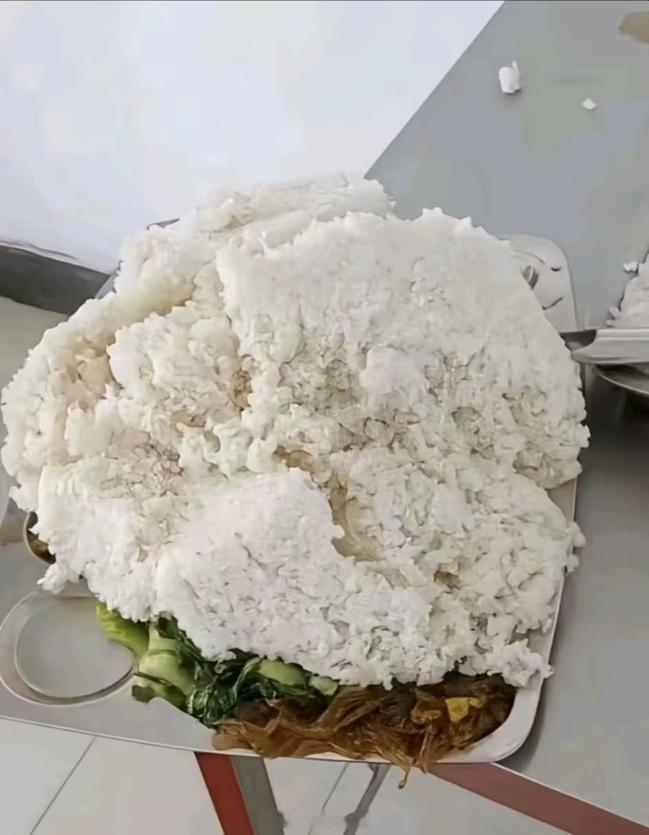 中午没饿就吃这么一点