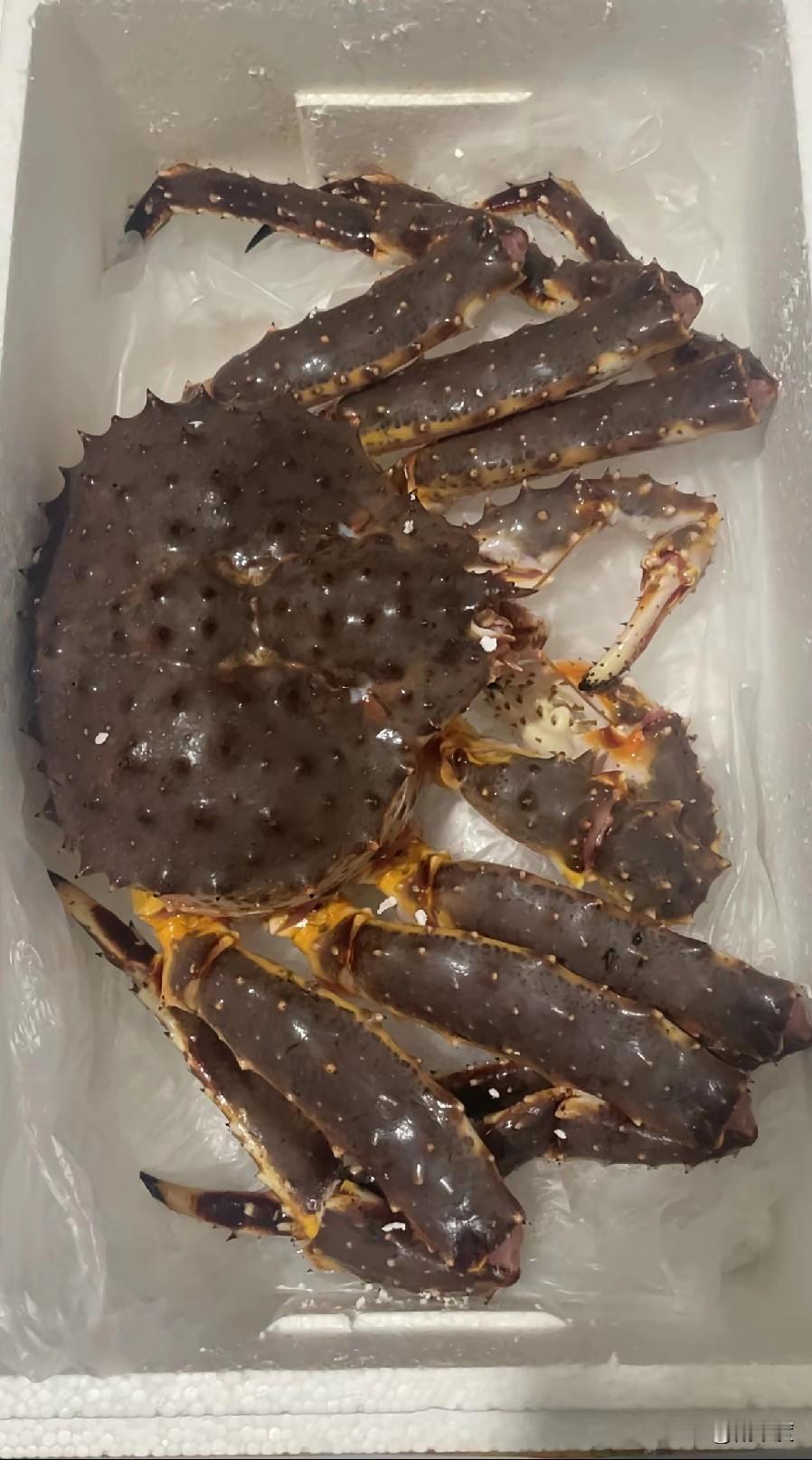 刷到某高校食堂推帝王蟹套餐的图，评论区吵翻了——有人说“食堂终于不搞大锅菜，懂年