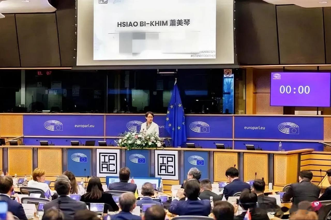 警惕欧盟在搞明修栈道暗度陈仓的把戏。11月8日台湾所谓副领导人萧美琴及所谓的“外