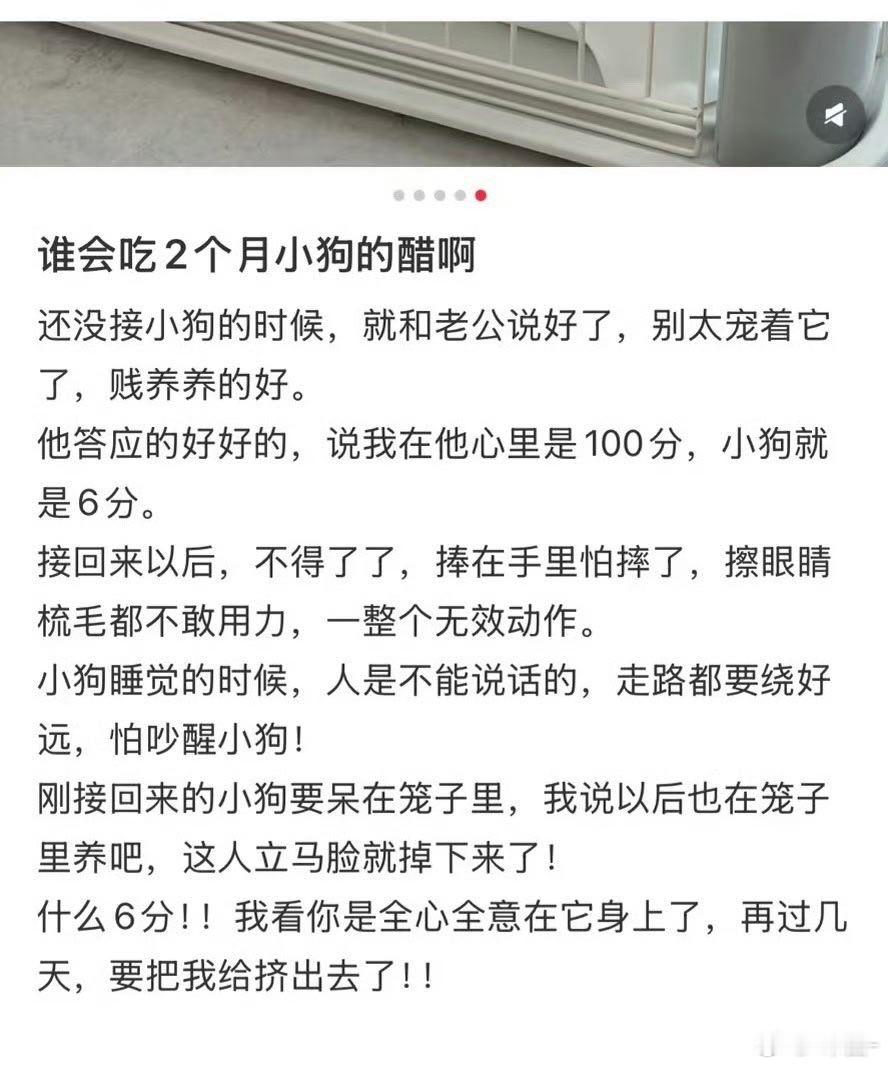 心疼小狗，成了两公婆play的一环