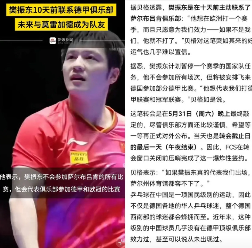 谁懂啊！樊振东是自己主动去联系德甲俱乐部的！不得不说，东子是个真汉子！真