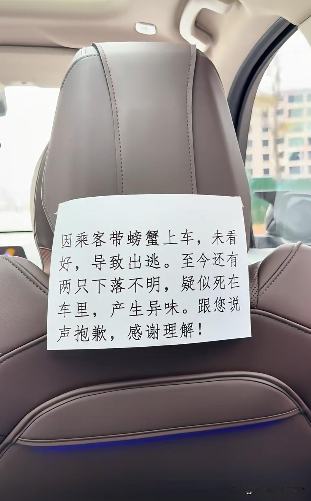 我记得有个人说他的车很臭，非常臭，实在受不了去修车店把座椅全拆开，是一只死了很久