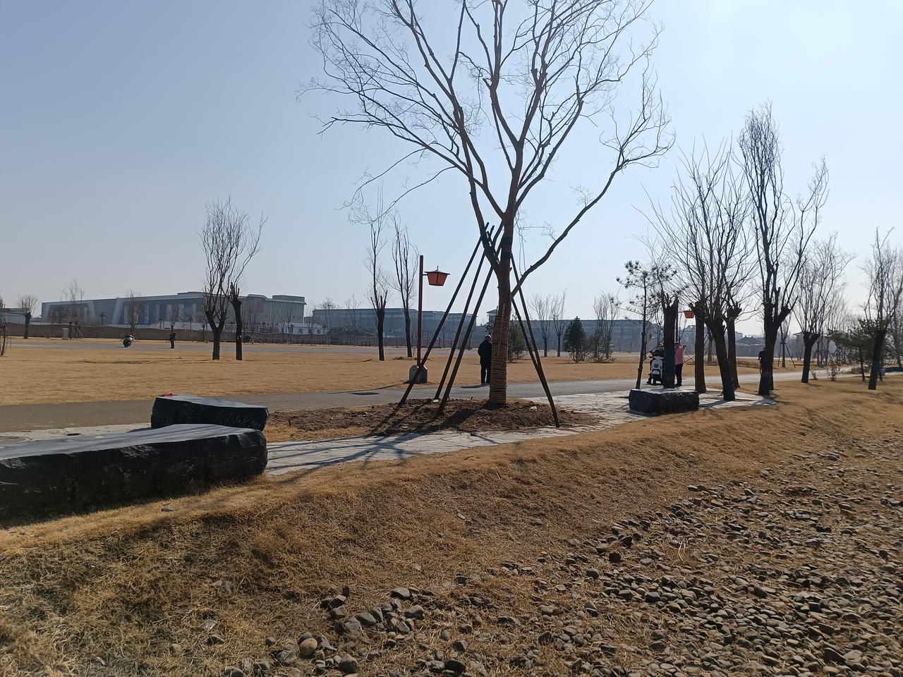 九星连珠，半导体公司集体宣传减持！无可厚非，散户想赚公司的钱，公司也想赚散户的