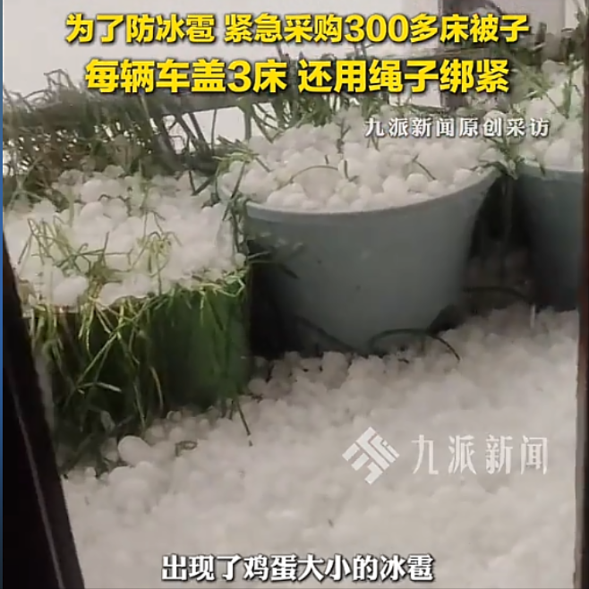 “真是操碎了心！”云南曲靖的车商一看天气预报说附近下了鸡蛋大的冰雹，立刻跑去买了