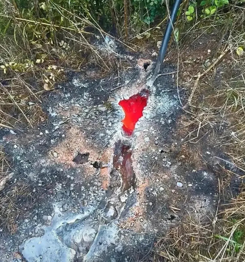 高压电的威力真是惊人啊！