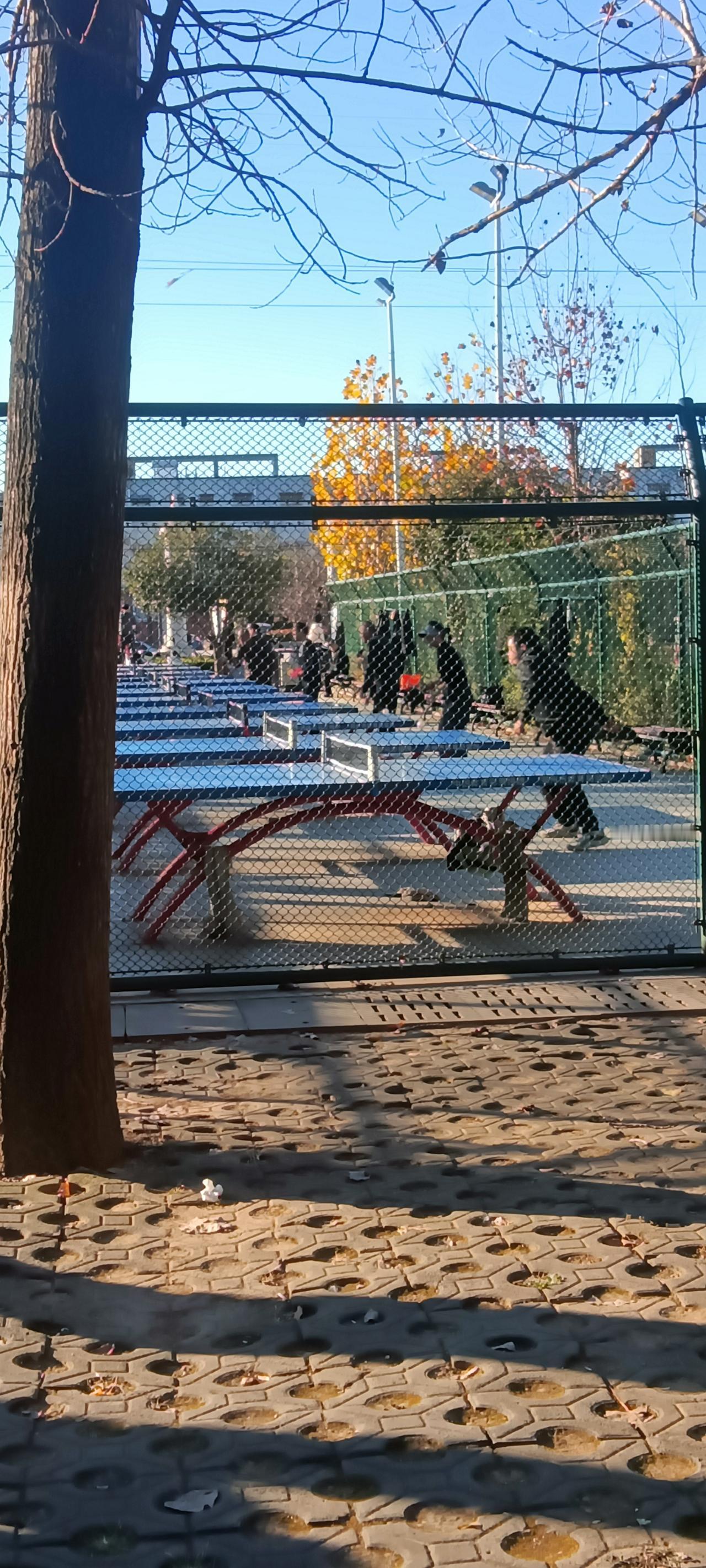 早上广场抢球桌，60岁大爷和30岁小伙吵翻了：到底该让谁先打？今早去广场遛