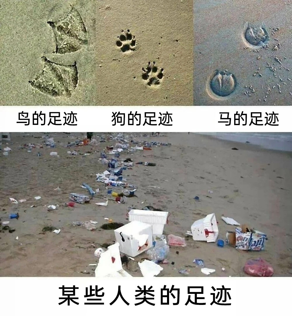 素质不详​​​