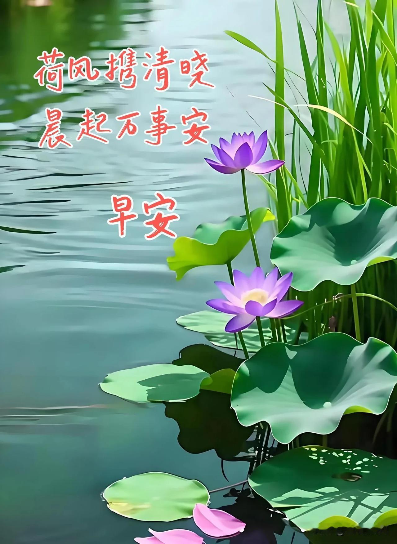 晨光漫漫，万物向好，愿平安与欢喜，伴你一整天。