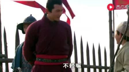 电影《岳飞后传之丹心令》(王戎 王复蓉 田梦)