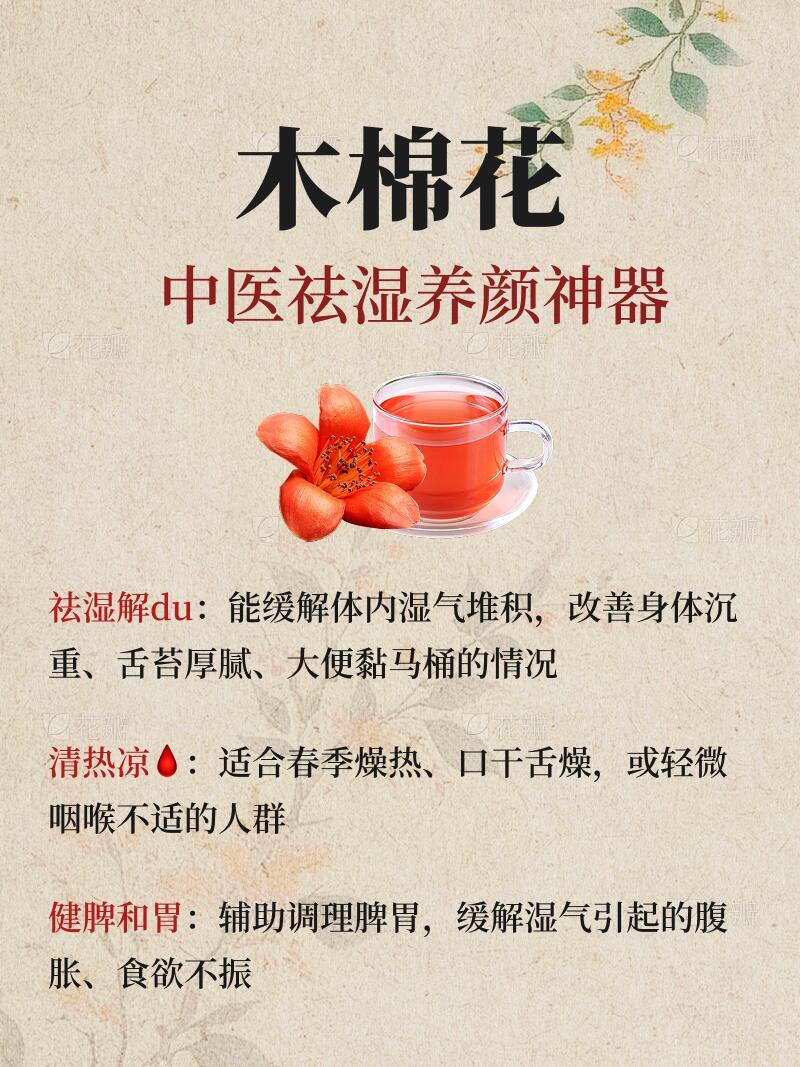 木棉花，中医祛湿养颜神器！春季多雨湿气重，木棉花在中医里可是天然祛湿好物，性味甘