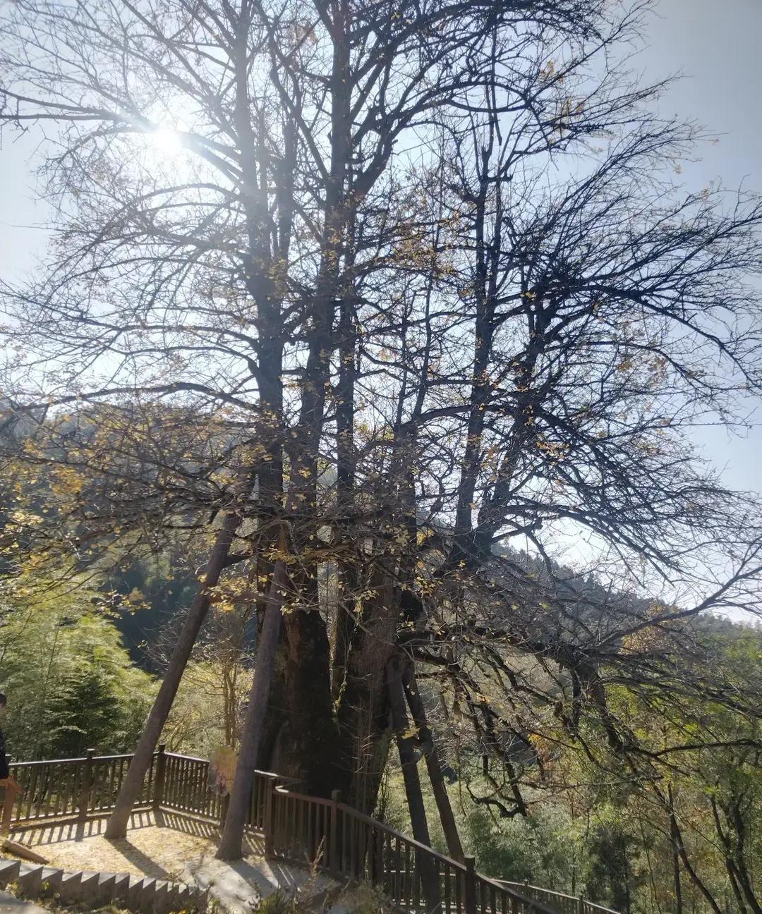 刷到个匿名帖，原配说老公出轨几年，肉体记录都翻到几百次，节假日借口陪客户其实是陪