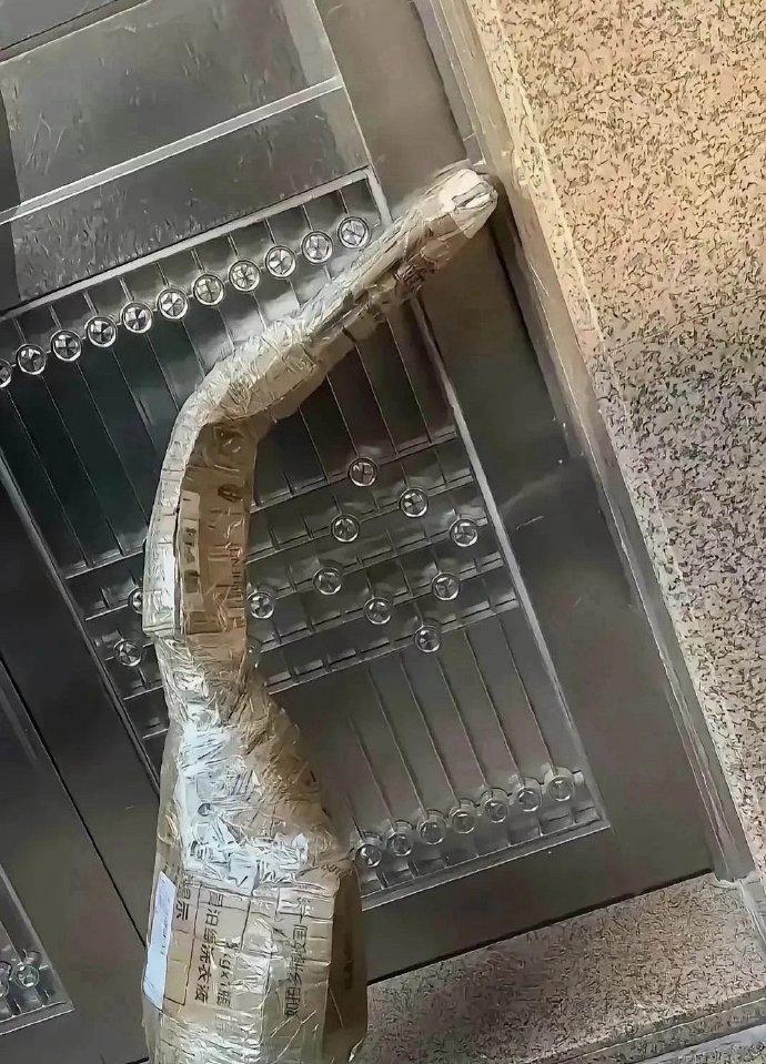 下班回家，在电梯口被邻居的快递给震住了！😯大家快帮我瞅瞅，这到底是个啥？