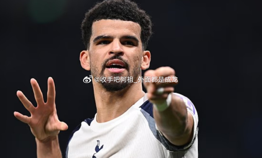 据《邮报》的消息，热刺前锋索兰克已经成为纽卡斯尔在今年夏天潜在的引援目标。据悉，